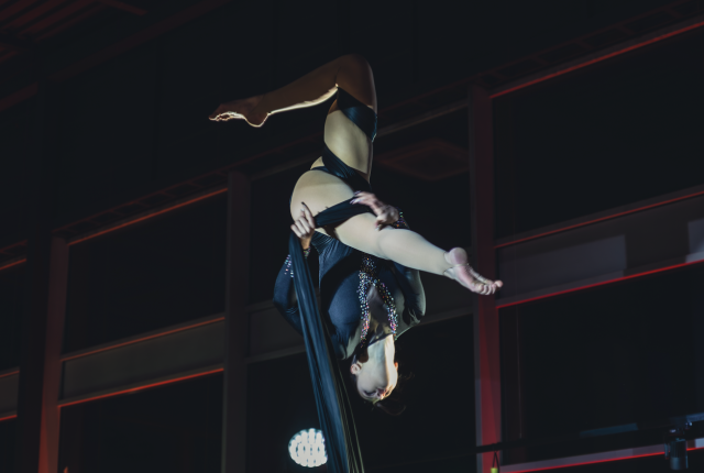 Obraz 10.02.2026, godz. 12.50.png